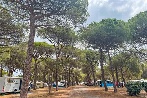 Emplacement Tente Pas Cher Au Cap D Agde Et Caravaning