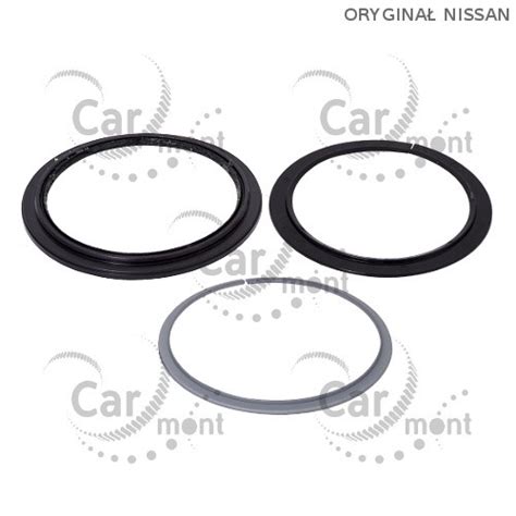 Uszczelniacz Zwrotnicy Kuli Nissan Patrol Y61 40579 VB000