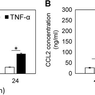 Effect of tumor necrosis factor α TNF α on Ccl2 messenger RNA mRNA