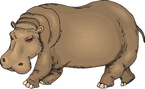 Hippo clipart 20 free Cliparts | Download images on Clipground 2024