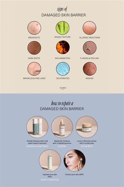 What Leads To A Damaged Skin Barrier Ways To Fix It Artofit