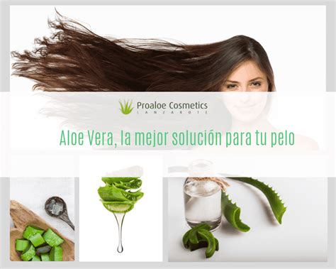 Usos Del Aloe Vera Para La Salud Y El Cuidado Personal Aloe Vera Saludable