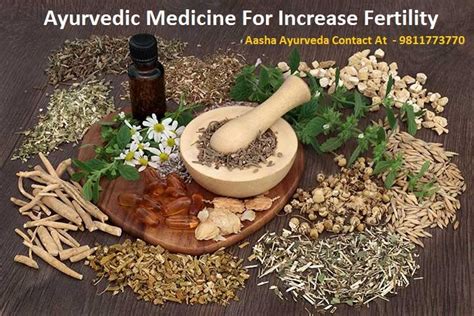 Ayurvedic Medicine Increase Fertility In Men And Women Aasha Ayurveda