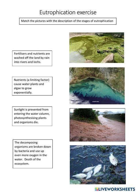 Eutrophication Lesson Plans Worksheets Reviewed By Teachers