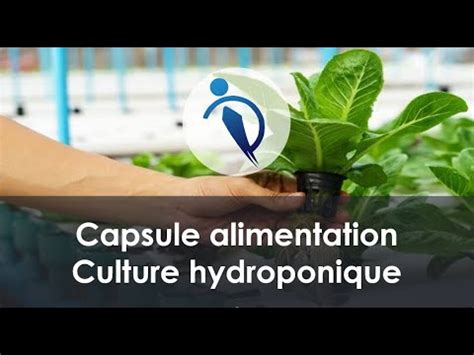 Capsule Alimentation La Culture Hydroponique YouTube