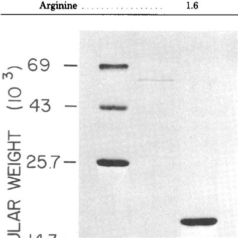 Amino Acid Composition Of E Coli 346 Pili Download Table