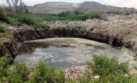 ILO MUEREN AVES POR CONTAMINACIÓN DE RÍO OSMORE