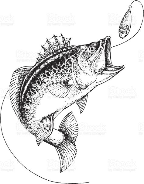 Fishing Rod And Fish Isolated Vector Image On Vectorstock Artofit