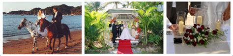 Magnetic Island And Townsville Weddings Celebrant David Crusty Herron Townsville Marriage