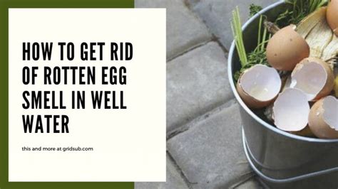 How To Get Rid Of Rotten Egg Smell In Well Water Grid Sub