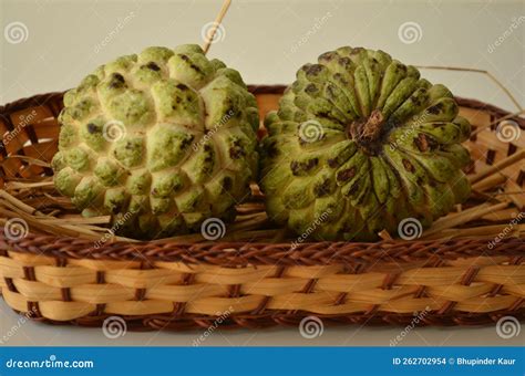 The Sugar Apple Or Sweet Sop Edible Fruit Of Annona Squamosa Thick