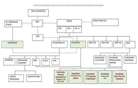 Struktur Organisasi Prodi Profesi Fakultas Kedokteran