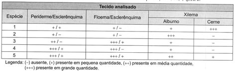 O Objetivo De Identificar A Melhor Esp Cie Produtora De Madeira