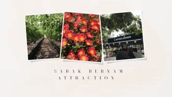 Sabak Bernam Attraction Shahirafadzryeen Flip Pdf Anyflip