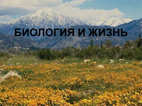 Биология и жизнь - презентация онлайн