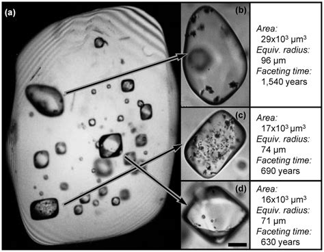 Examples Of Melt Glass Inclusions In Quartz At Different Stages Of Download Scientific