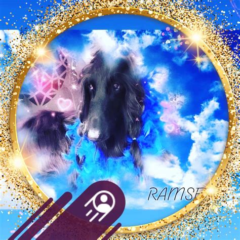 How to play all pch games for free on your mobile device 21