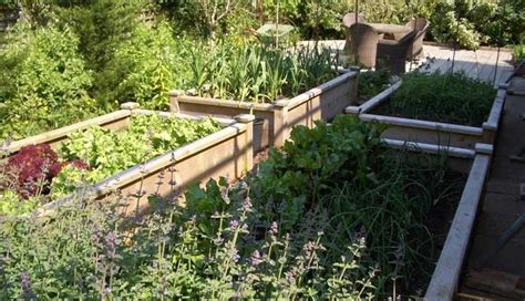 Raised Beds Superior Customer Gallery Raised Beds Pergola Suffolk