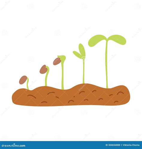 Hand Drawn Plant Growing Stages Sprout Grow Process Stock Illustration