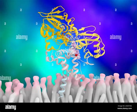 Monoamine oxidase and inhibitor complex, molecular model. Computer ...