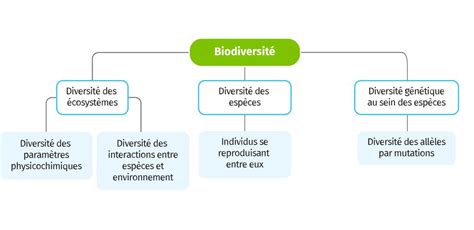 Cahier De Soutien Sciences De La Vie Et De La Terre Classe De Seconde