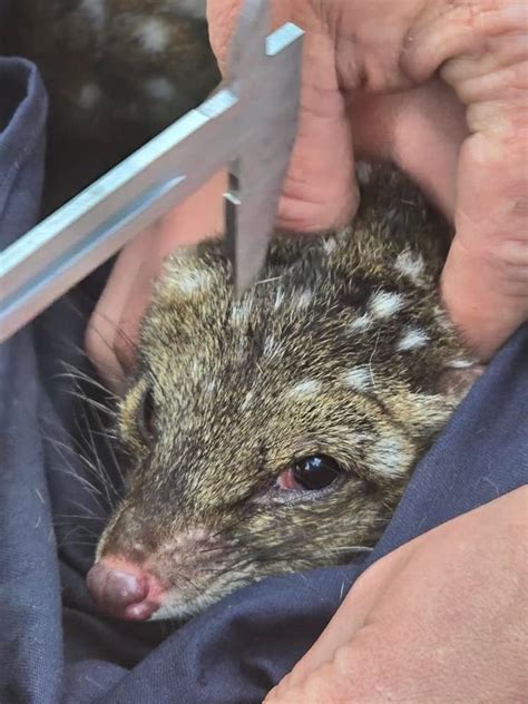 Landscape South Australia - SA Arid Lands