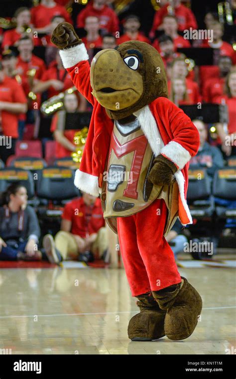 University of maryland mascot hi-res stock photography and images - Alamy