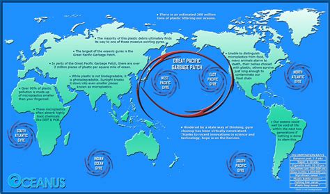 The Great Pacific Garbage Patch Flash Know