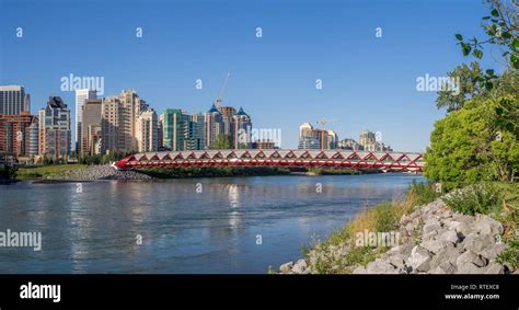 The Peace Bridge Spanning The Bow River In Calgary Alberta The