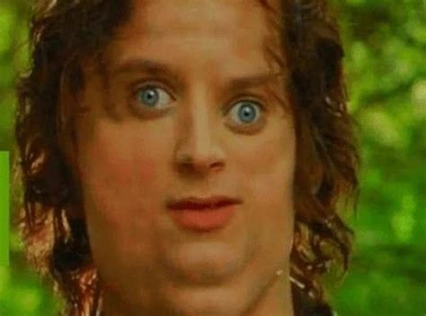 Create Meme Frodo Baggins Smiling Frodo From Lord Of The Rings Frodo