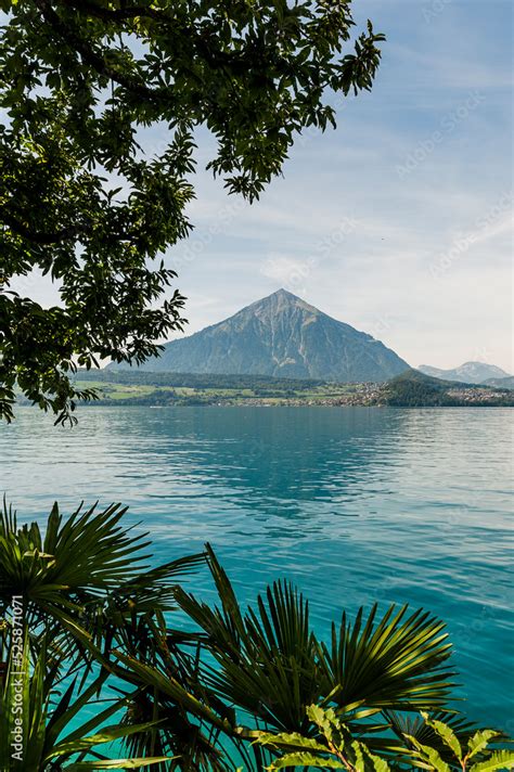 Foto De Merligen Niesen Seeufer Thunersee See Seeufer Faulensee