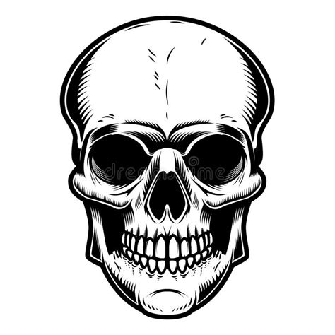 Skull Illustration Isolated On White Background Stock Vector