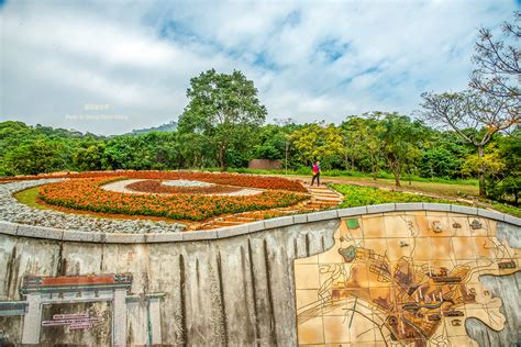 台北版的北海道四季彩之丘 2023三層崎公園花海搶先看 豆眼看世界攝影旅遊 Udn部落格