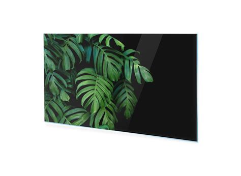 Obraz Na Szkle Homeprint Zielone Li Cie Monstera X Cm Homeprint