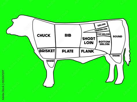 Draw Of Cow Showing American Primal Cuts Of Beef And Its Subdivisions