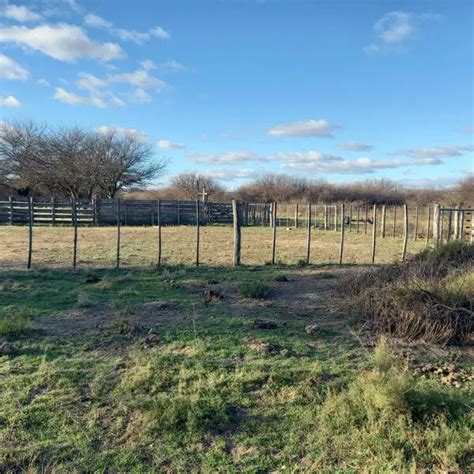 Campo Ganadero en venta 1140 Hectáreas en San German Buenos Aires Agrofy