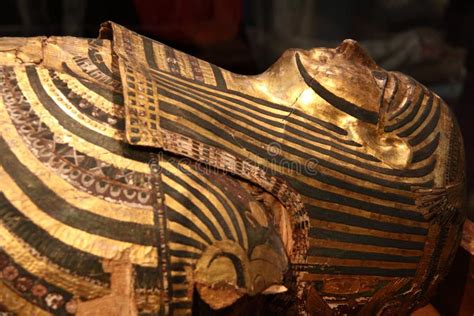 Egyptian mummy stock photo. Image of ancient, king, mummy - 11245216