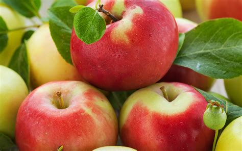 Download Food Apple Hd Wallpaper