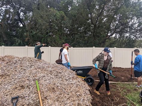 Food Forest Workday Hillsborough Community College Brandon Campus