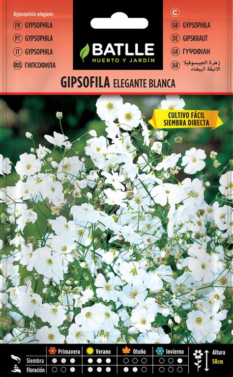 Gipsofila Elegante Blanca Semillas Batlle Huerto y Jardín