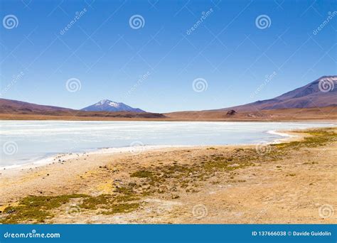 Laguna Hedionda View Bolivia Stock Photo Image Of Beauty Lagoon