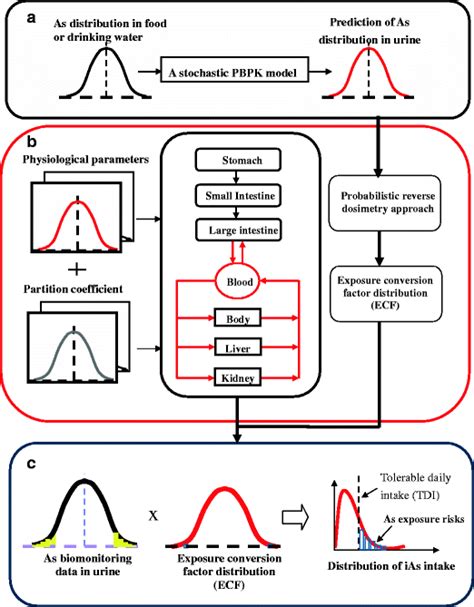 Schematic Showing The Framework Of The Proposed Population Based Pbpk