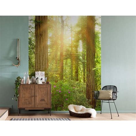 Komar Redwood Wall Mural Xxl2 044 The Home Depot