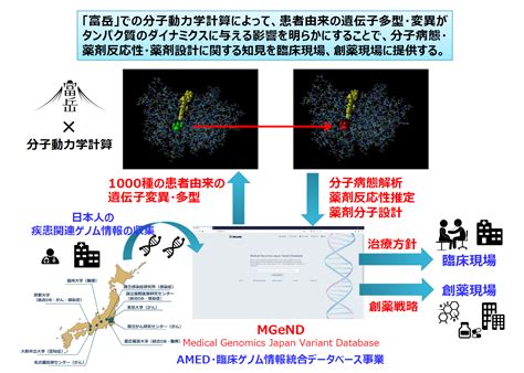 プロジェクトの目的｜研究概要｜プレシジョンメディスンを加速する創薬ビッグデータ統合システムの推進 「富岳」成果創出加速プログラム ②国民の