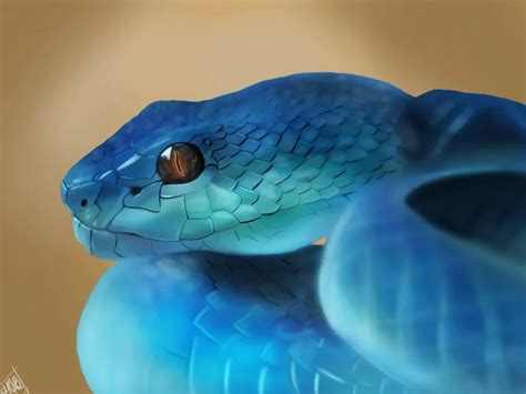 Compilation of commonly seen blue snakes nowadays | WorldWeet