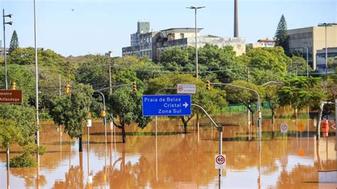 Lavoura maquinário animais chuvas no RS prejudicam agropecuária