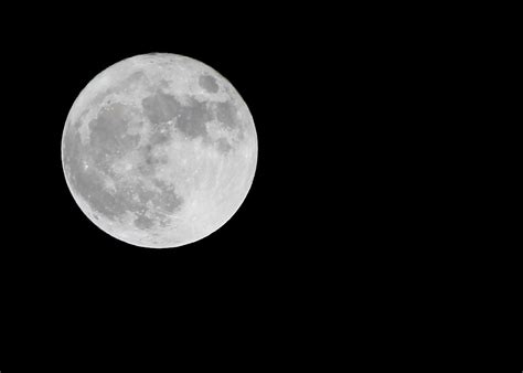 Full Moon | Full Moon - apparently the moon was closer to th… | Flickr