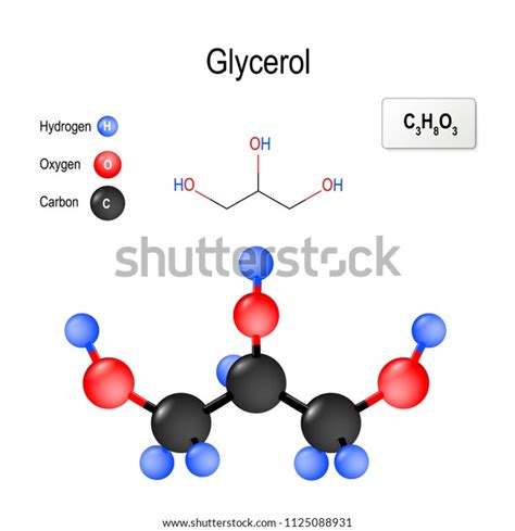 Glycerol Glycerine Glycerin Structure Molecule Chemical Stock Vector Royalty Free 1125088931