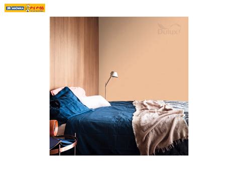 Farba do wnętrz Kolory Świata Imbirowa Herbata 5L DULUX Mrówka