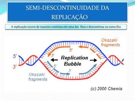 PPT REPLICAÇÃO DE DNA PowerPoint Presentation ID 4104314